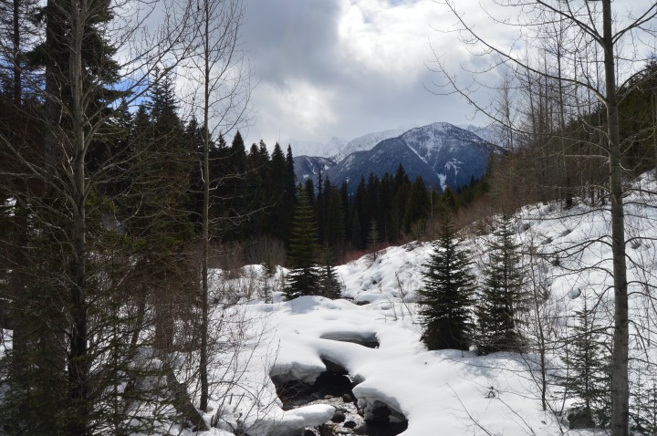 Phelix Creek Trail